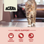 Acana Indoor Entree Cat with Poultry & Fish