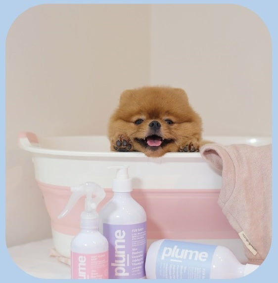 PLUME Fur Baby Dog Shampoo 500ml - Fragrance Free