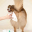 PLUME Gentle Cleaning Wet Wipe For Dog/Cats-SPCA HK