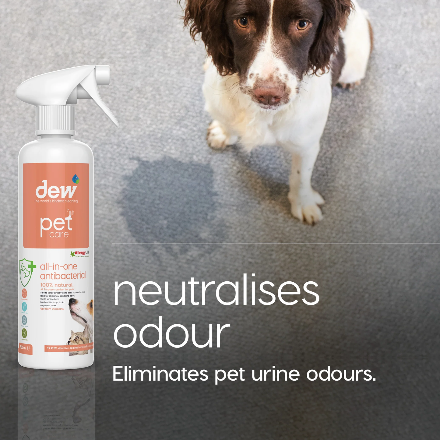 Dew Pet Care All In One Antibacterial 500ml #NDP-0