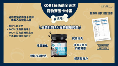 V CARE U Manuka MGO70+ (Pet) 250g-SPCA HK