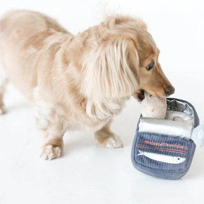 Beige + Bright Lambwolf Sardines // snuffle + squeaky For Dog