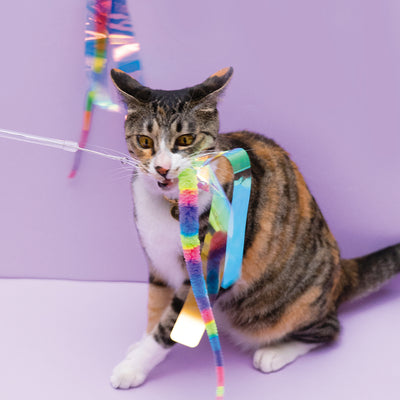 Zooahpet - Long Stick Rainbow Snake 100-180cm