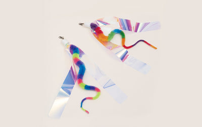 Zooahpet - Kasha Rainbow Snake