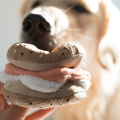 Beige + Bright Lambwolf Bagel+Pickle //  Snuffle For Dog