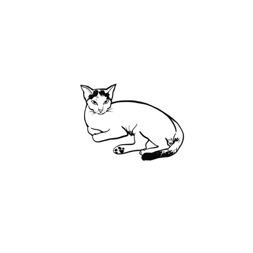 SPCA Tattoo - Domestic Cat