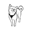 SPCA Tattoo - Shiba