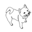 SPCA Tattoo - Shiba