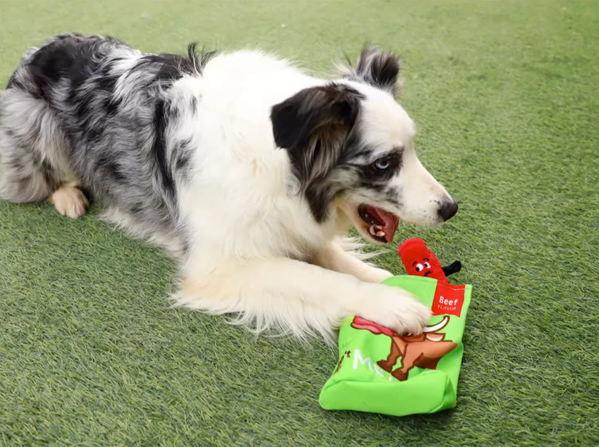 GiGwi Foody Friendz dental toys - Bacon Bread