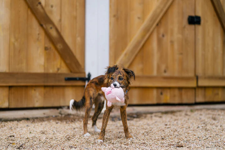 P.L.A.Y. - Barnyard Buddies_Pig_S#PY7218ASF