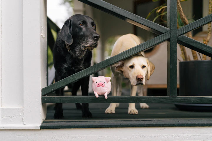 P.L.A.Y. - Barnyard Buddies_Pig_S#PY7218ASF