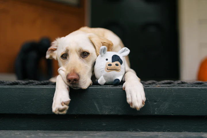 P.L.A.Y. - Barnyard Buddies_Cow_S#PY7218BSF