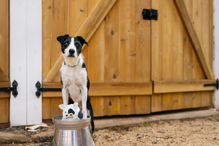 P.L.A.Y. - Barnyard Buddies_Cow_S#PY7218BSF