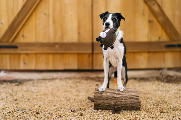 P.L.A.Y. - Barnyard Buddies_Horse_S#PY7218CSF