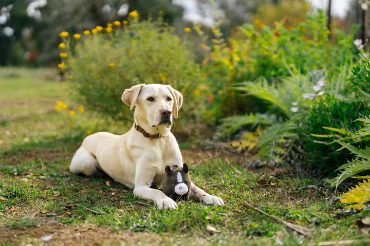 P.L.A.Y. - Barnyard Buddies_Horse_S#PY7218CSF