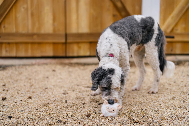 P.L.A.Y. - Barnyard Buddies_Sheep_S#PY7218DSF