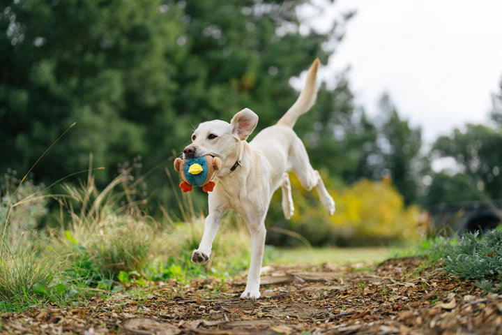 P.L.A.Y. - Barnyard Buddies_Duck_S#PY7218ESF