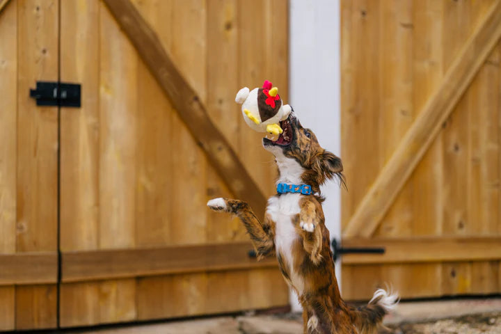 P.L.A.Y. - Barnyard Buddies_Rooster_S#PY7218FSF