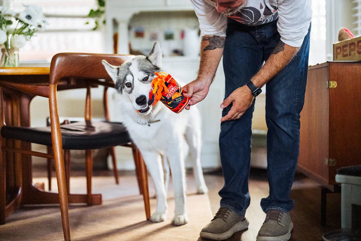 P.L.A.Y. - International Classic-Cup Noodle_S#PY72