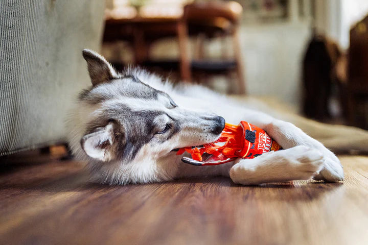 P.L.A.Y. - International Classic-Cup Noodle_S#PY72