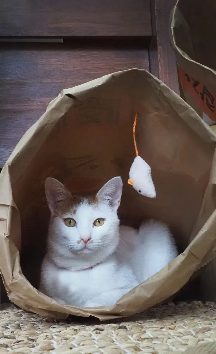 CAT BANG 米紙袋玩具