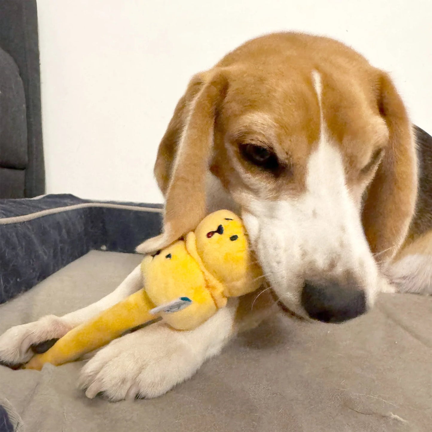 Woof² | Siu Mai Brothers Soft Plush Pet Toy