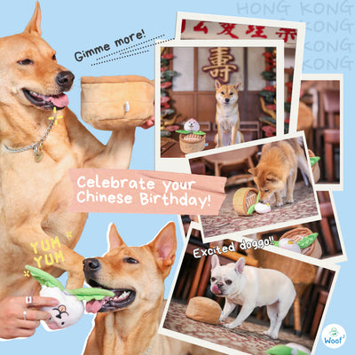 Woof² | Chinese Birthday Peach Bun 3-in-1 Nosework Soft Plush Pet Toy