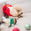 Woof² | Nutcracker Treat-Dispensing Soft Plush Pet Toy