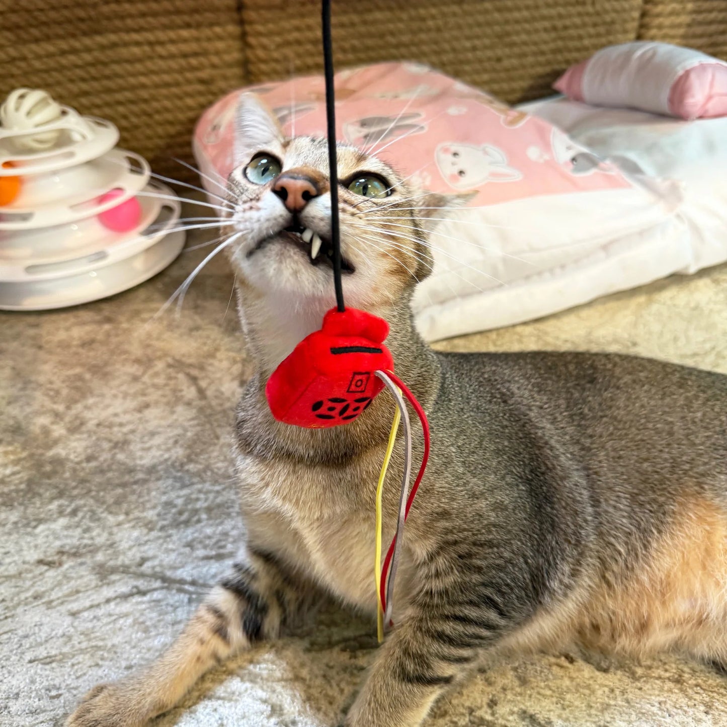 Meow² | 香港懷舊信箱逗貓棒