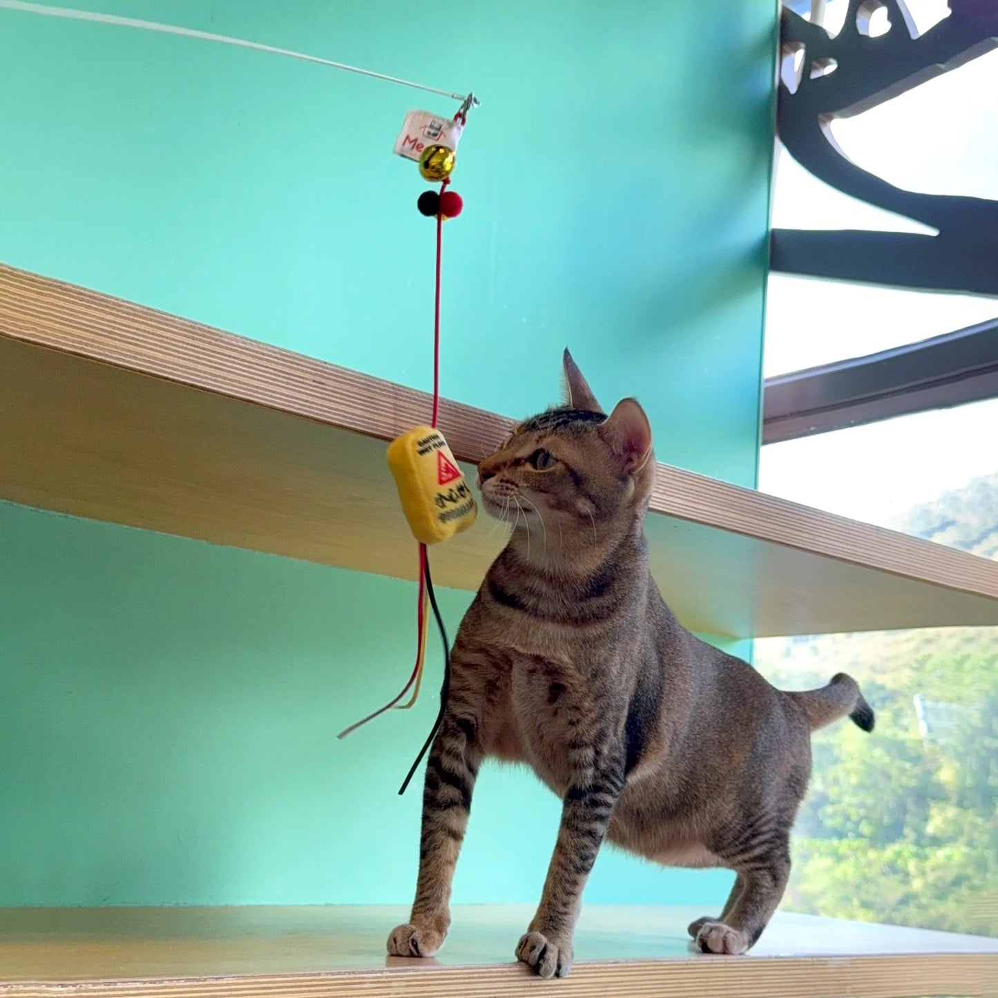 Meow² | Slippery Caution Sign Soft Plush Cat Wand