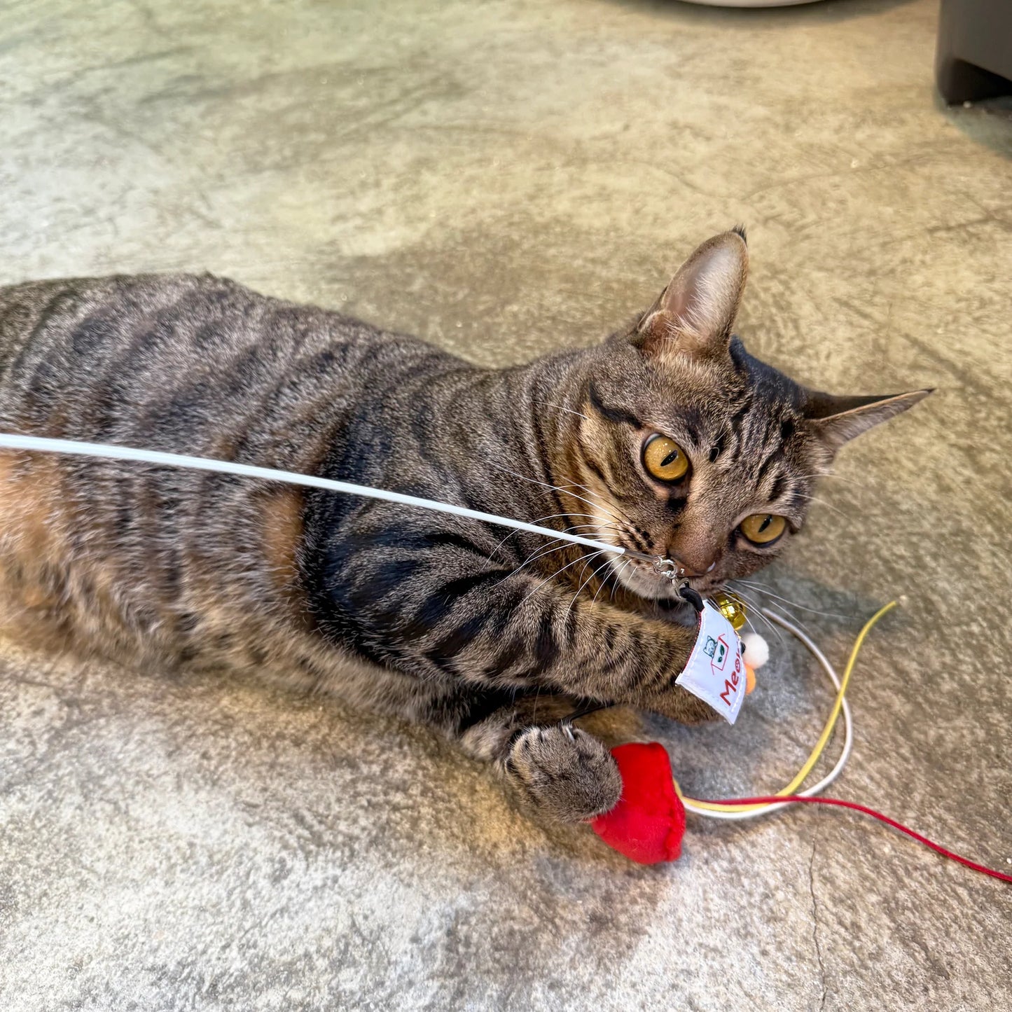 Meow² | 紅色街市燈逗貓棒替換件
