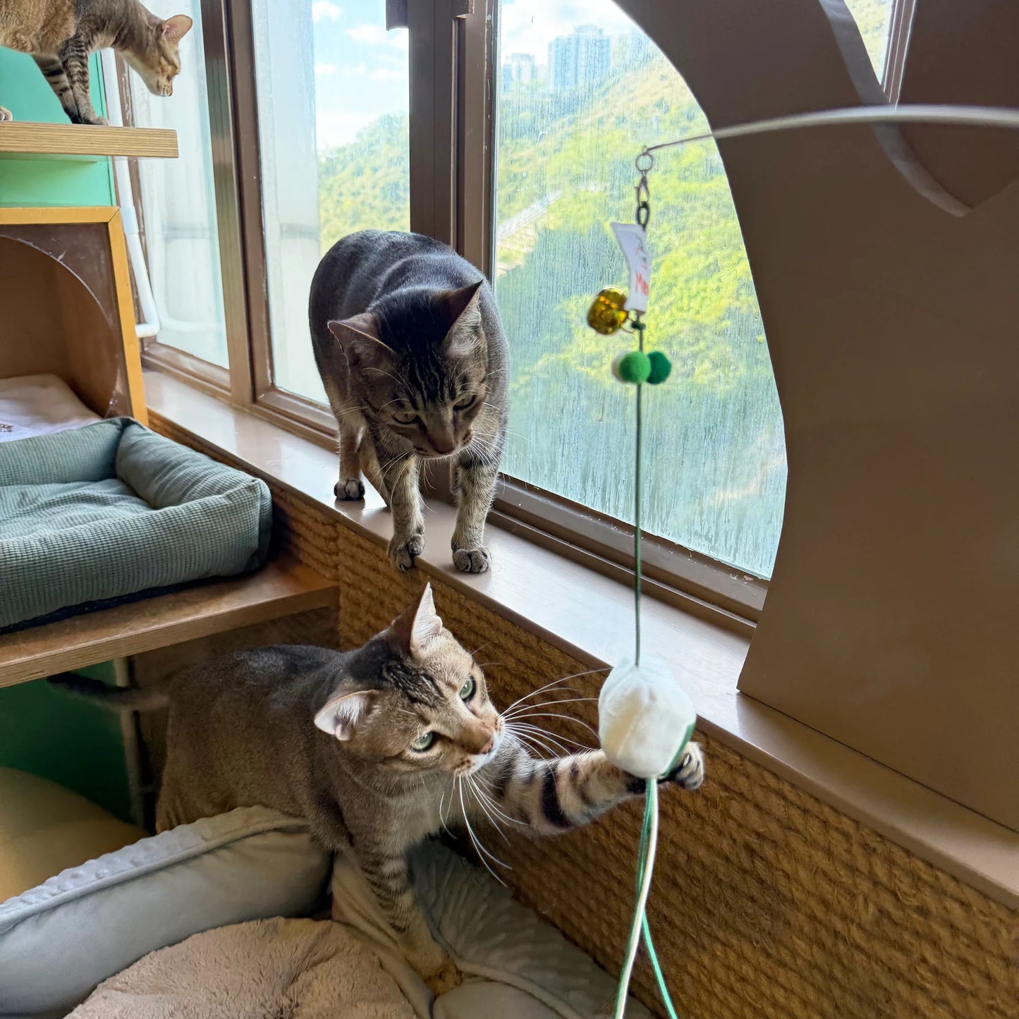 Meow² | 逃生出口逗貓棒替換件