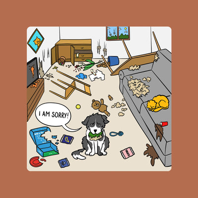 Woof² 'I'm Sorry' Card