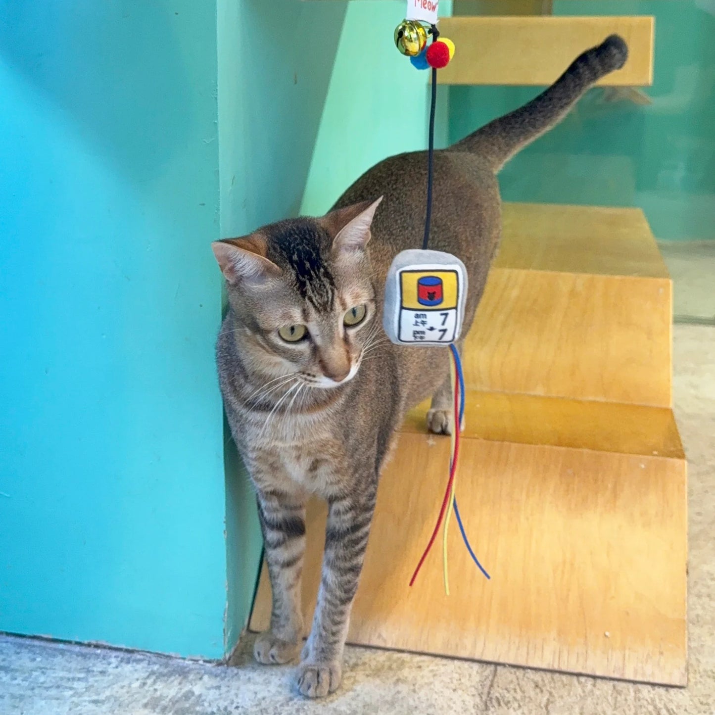 Meow² |「罐罐時間」逗貓棒