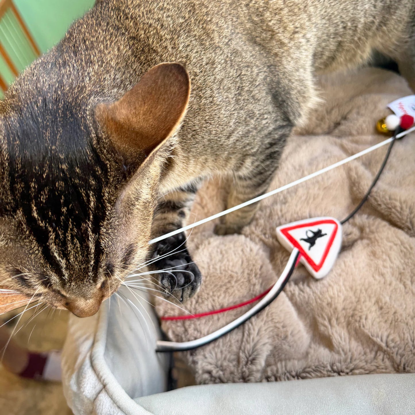 Meow² |「貓岀沒」注意警告牌逗貓棒