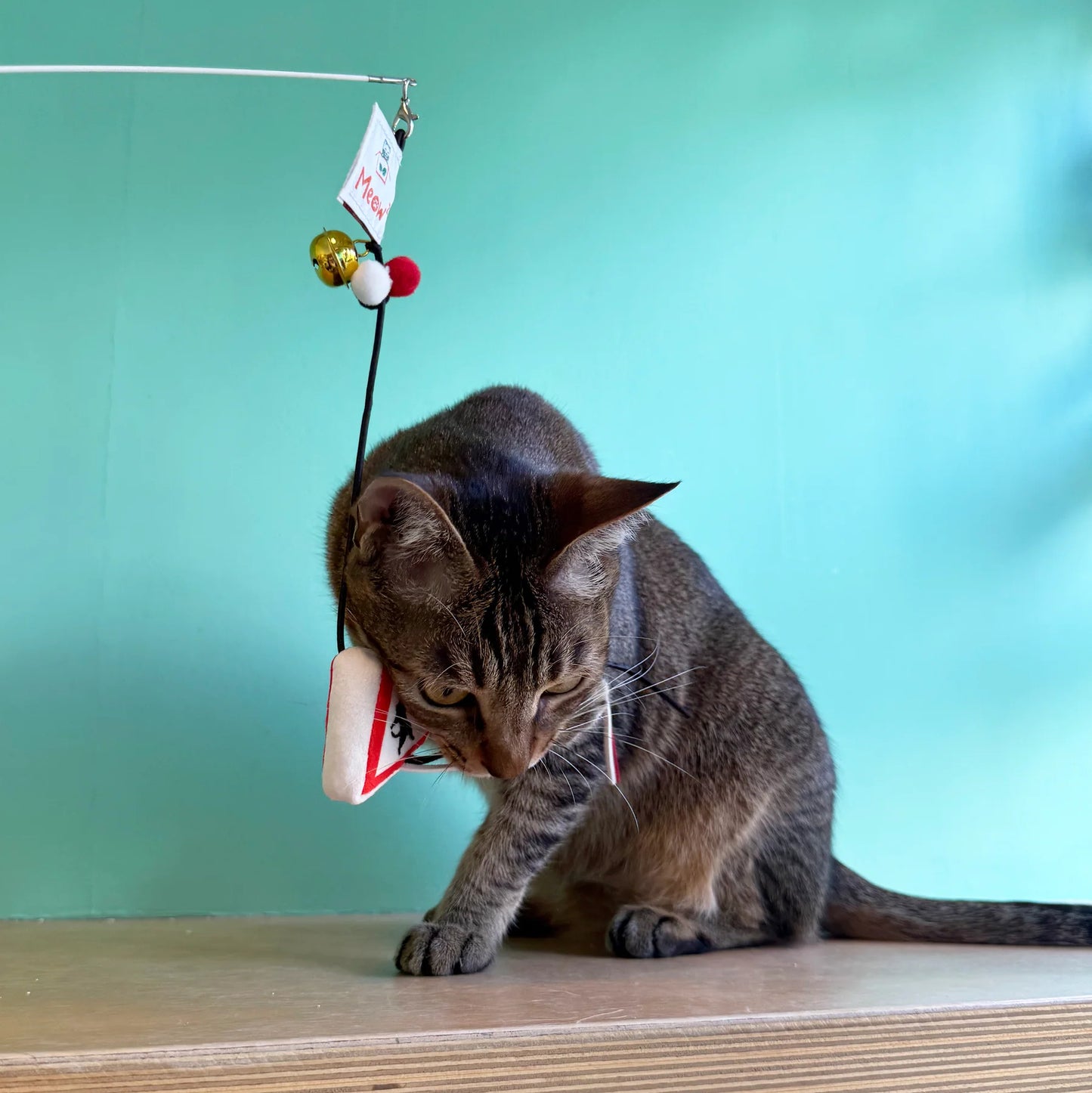 Meow² |「貓岀沒」注意警告牌逗貓棒