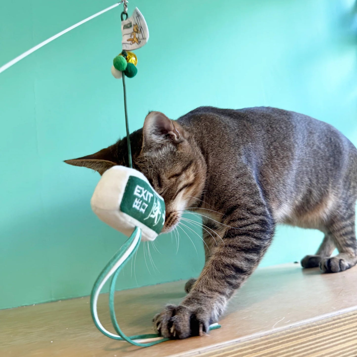 Meow² | 逃生出口逗貓棒