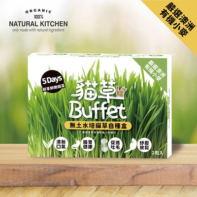 [Cat Nip Buffet] Soilless Hydroponic Cat Grass Growing Kit