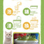 [Cat Nip Buffet] Soilless Hydroponic Cat Grass Growing Kit
