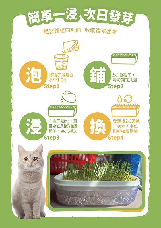 [Cat Nip Buffet] Soilless Hydroponic Cat Grass Seed Pack – Australian Wheatgrass Refill (2 Packs)