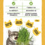 [Cat Nip Buffet] Soilless Hydroponic Cat Grass Growing Kit