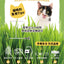 [Cat Nip Buffet] Soilless Hydroponic Cat Grass Seed Pack – Australian Wheatgrass Refill (2 Packs)