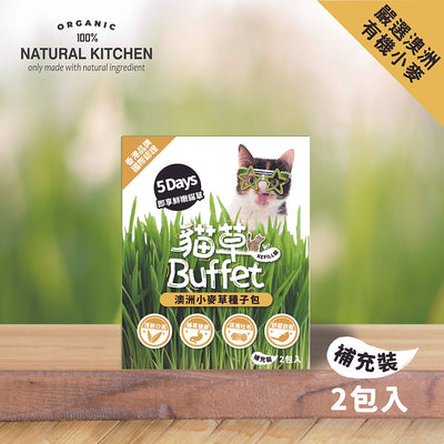 [Cat Nip Buffet] Soilless Hydroponic Cat Grass Seed Pack – Australian Wheatgrass Refill (2 Packs)