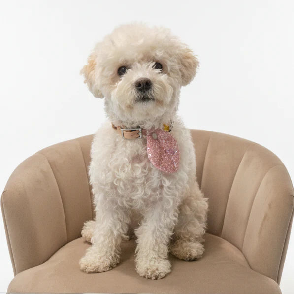 HIKOINU - 亮片迷你款（粉紅色）