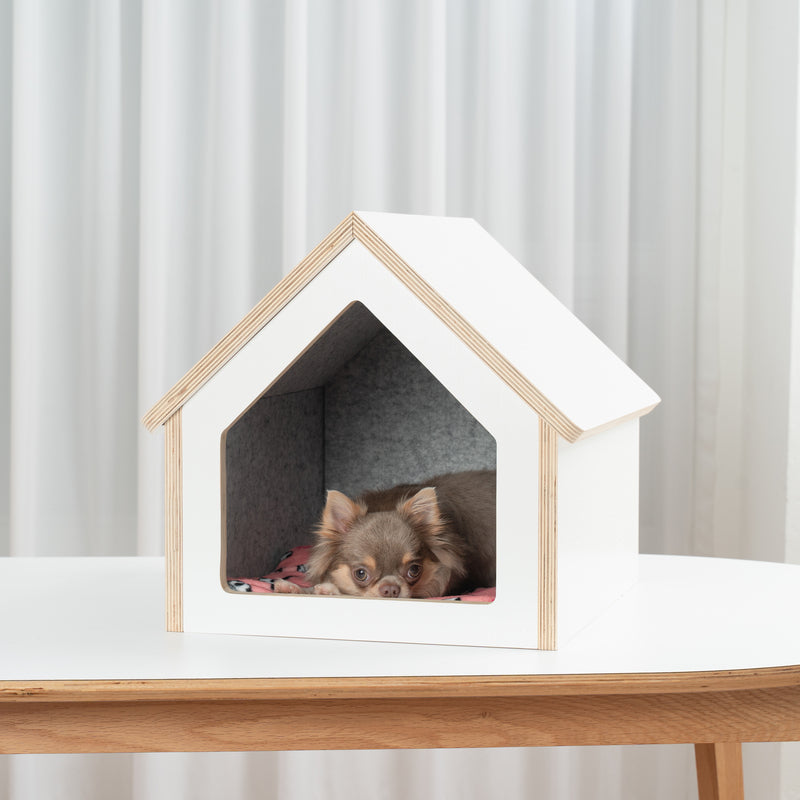 TAILODY - Mute Compact (Pre-Order) - SPCA HK
