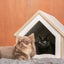 TAILODY - Mute Compact (Pre-Order) - SPCA HK
