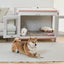 Tailody- Mute Square (Pre-order) - SPCA HK