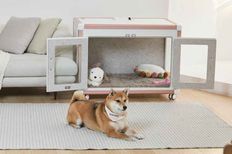 Tailody- Mute Square (Pre-order) - SPCA HK