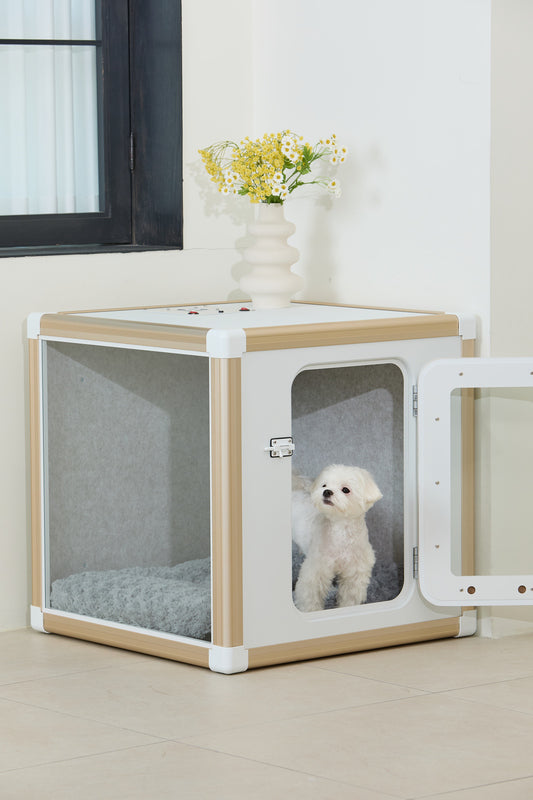 Tailody- Mute Square (Pre-order) - SPCA HK