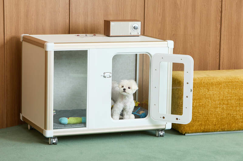 Tailody- Mute Square (Pre-order) - SPCA HK